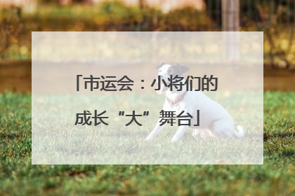 市运会：小将们的成长“大”舞台